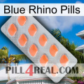 Blue Rhino Pills 26